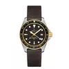 DS Action GMT