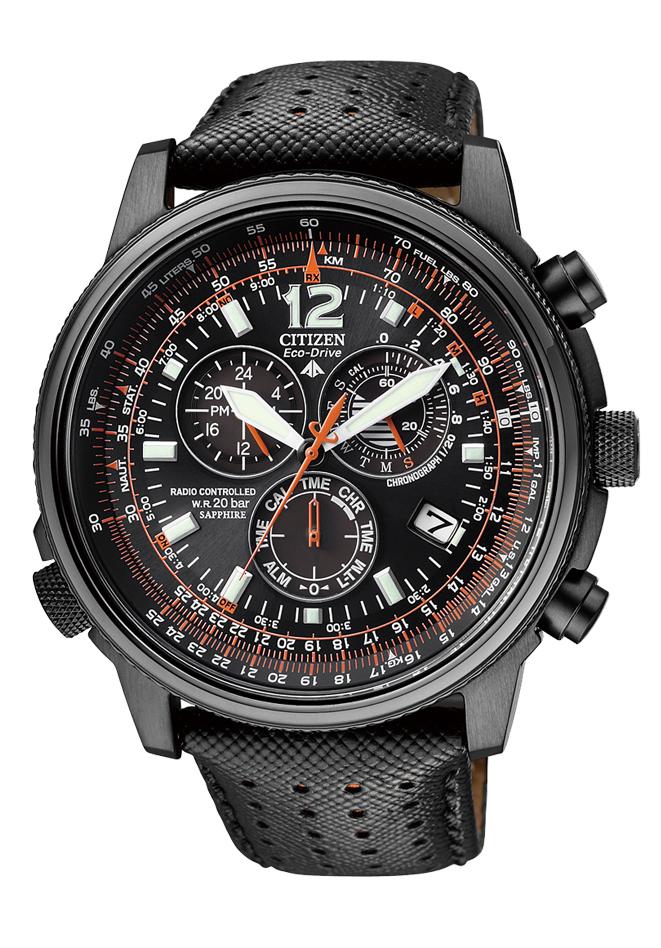 citizen promaster eco drive sky