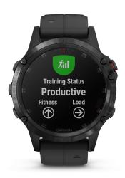 Garmin Fenix 5 Plus Sapphire Schwarz GPS Multisport Smartwatch