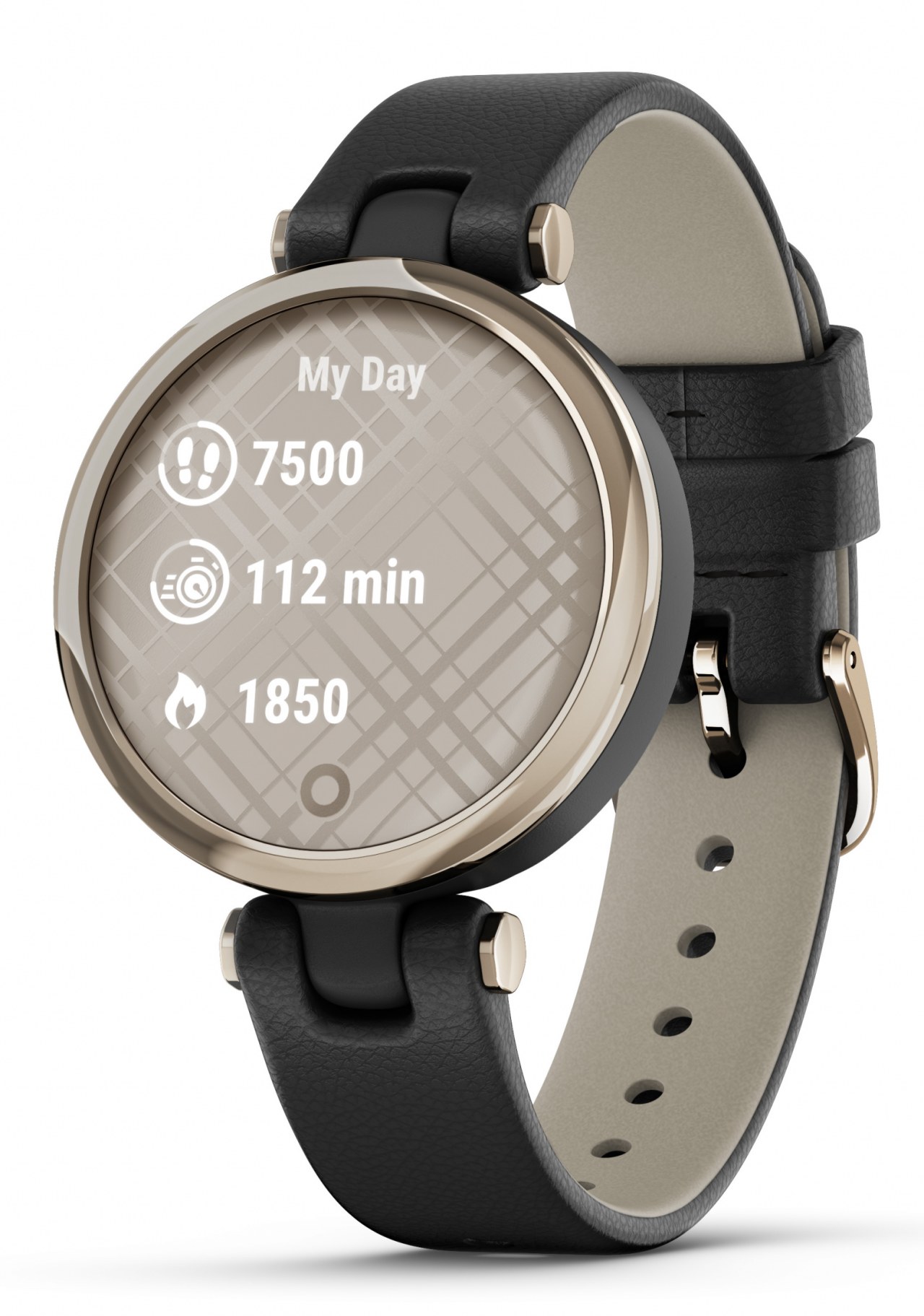 buy garmin lily