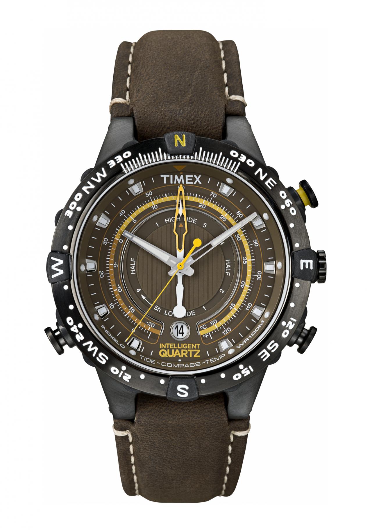 timex expedition tide