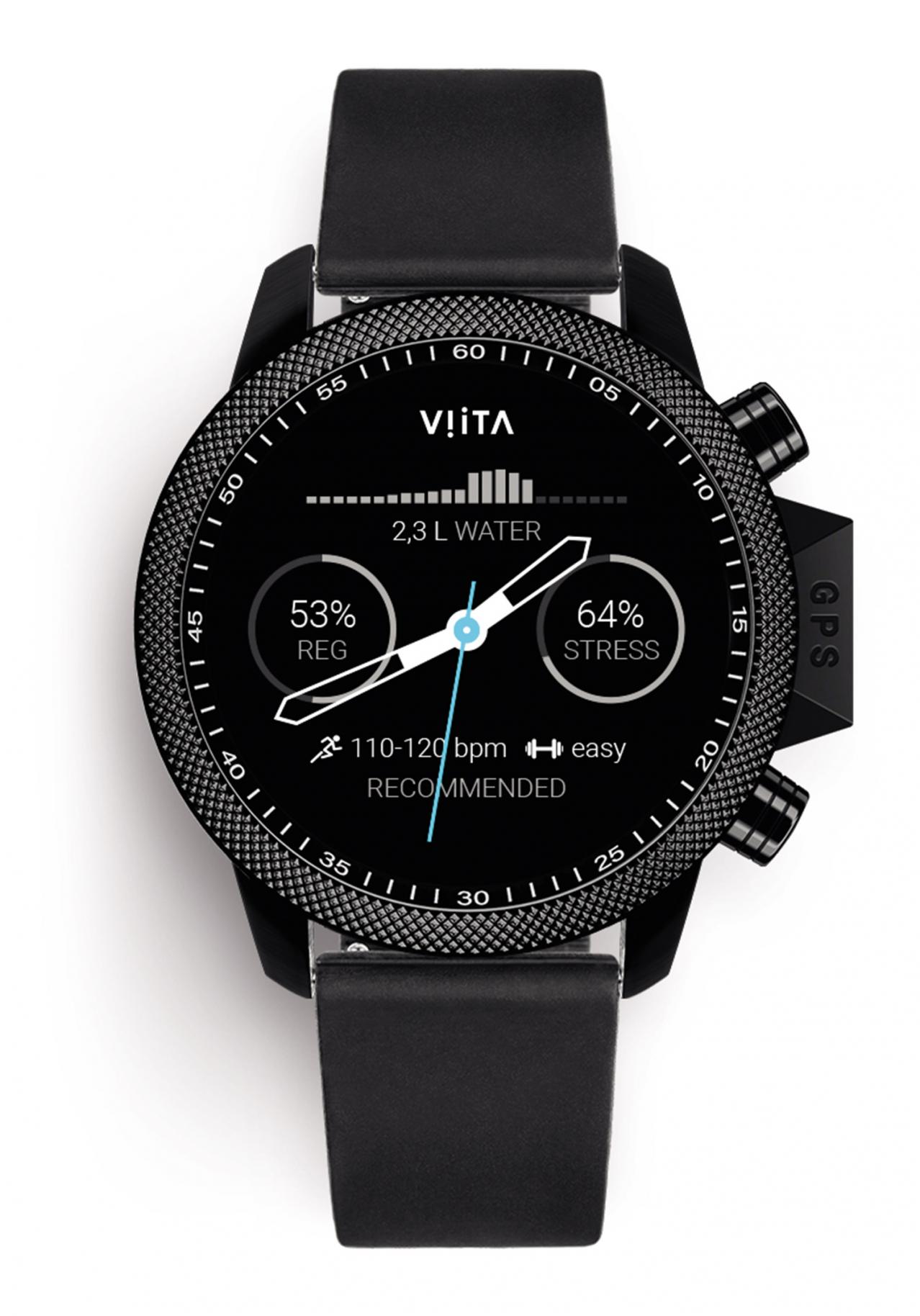 viita smartwatch price
