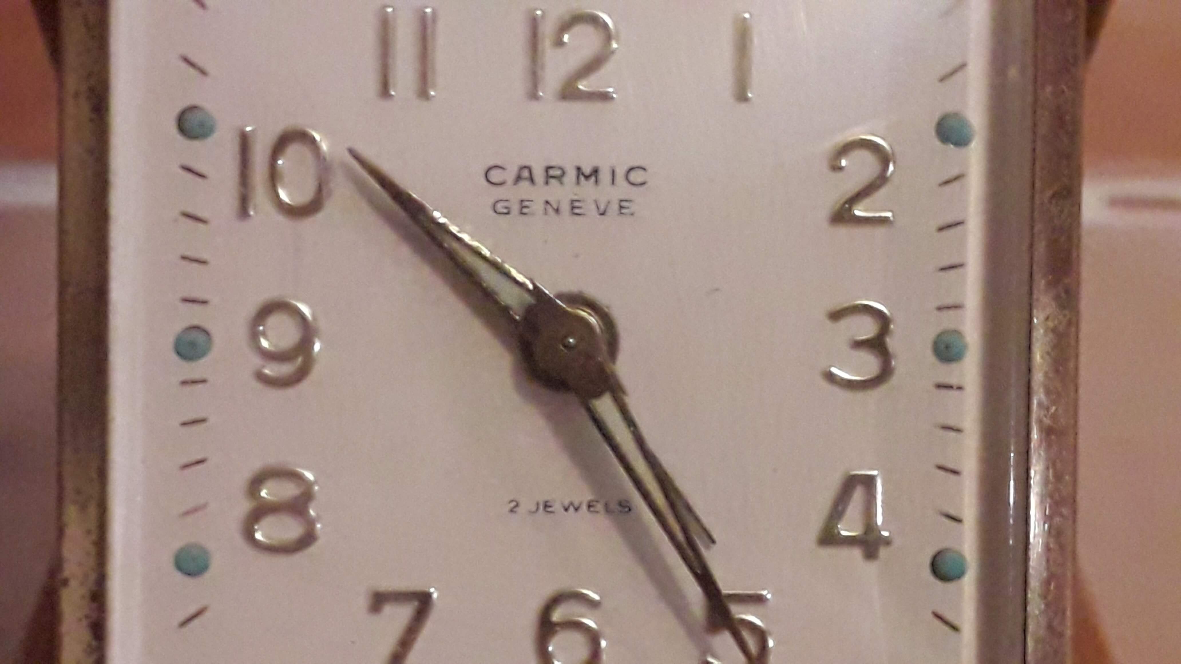 CARMIC GENEVE 1.jpg